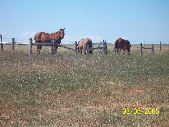 South Dakota15.jpg